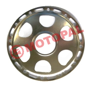 RUBLE KORUMA DEMİRİ KROM