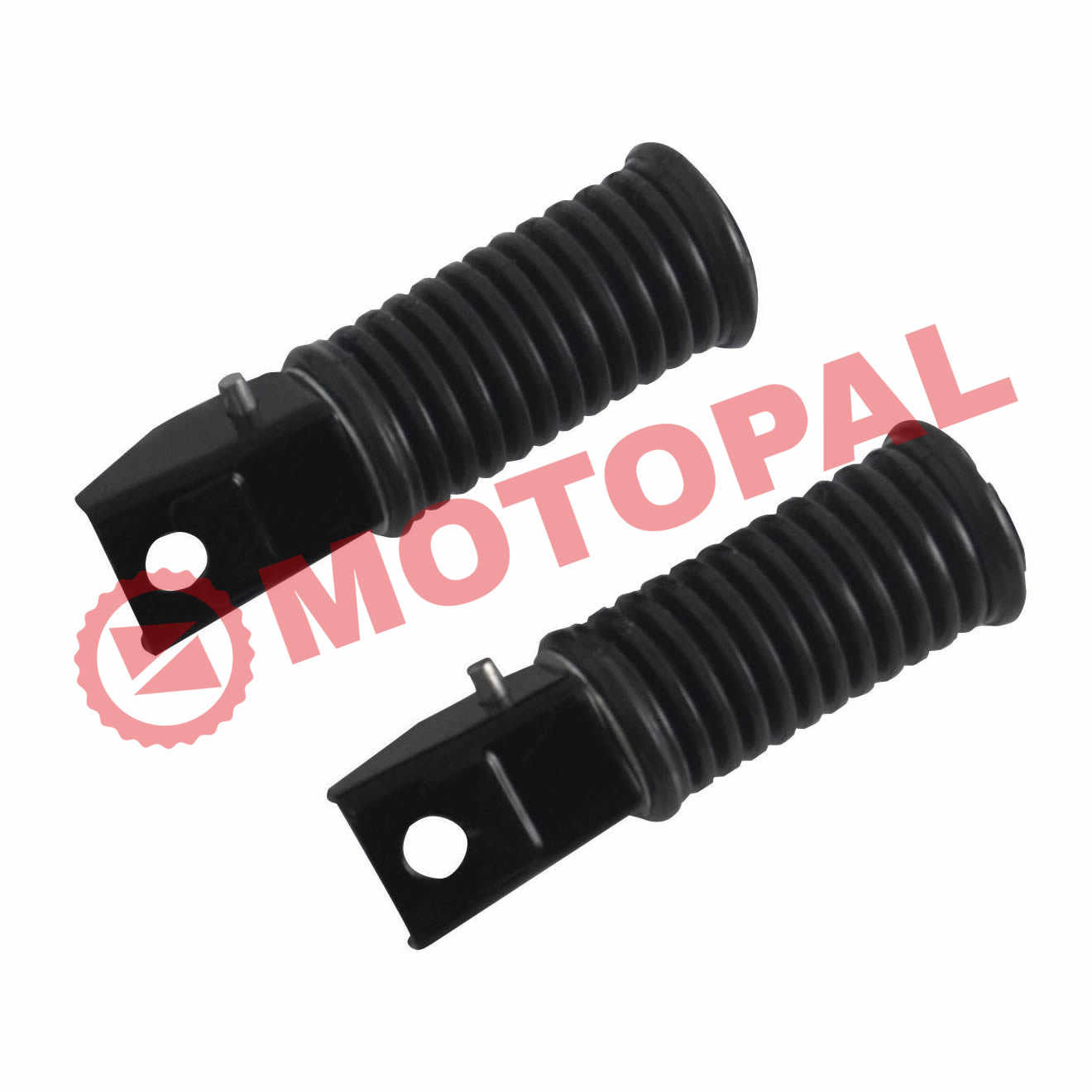 ARKA BASAMAK [TAKIM] CG - KN