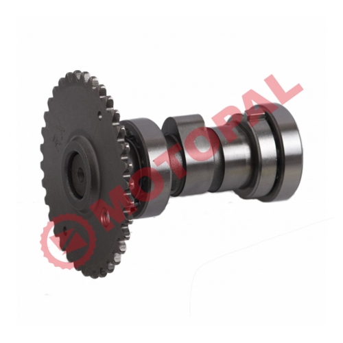 EKSANTRİK MİLİ SCOOTER - LINHAI 200