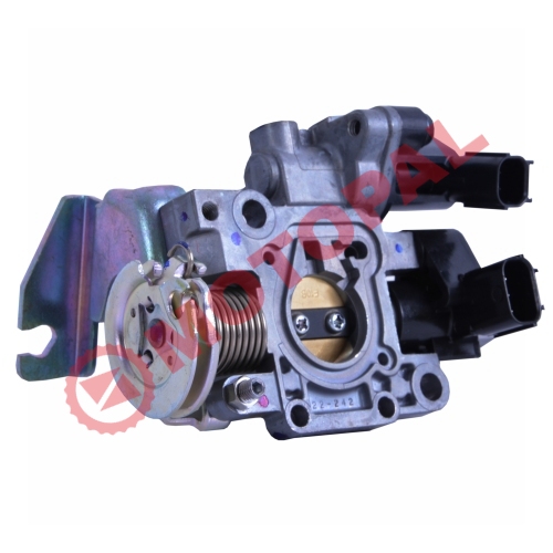 GAZ KELEBEĞİ [Y.M]  SPACY