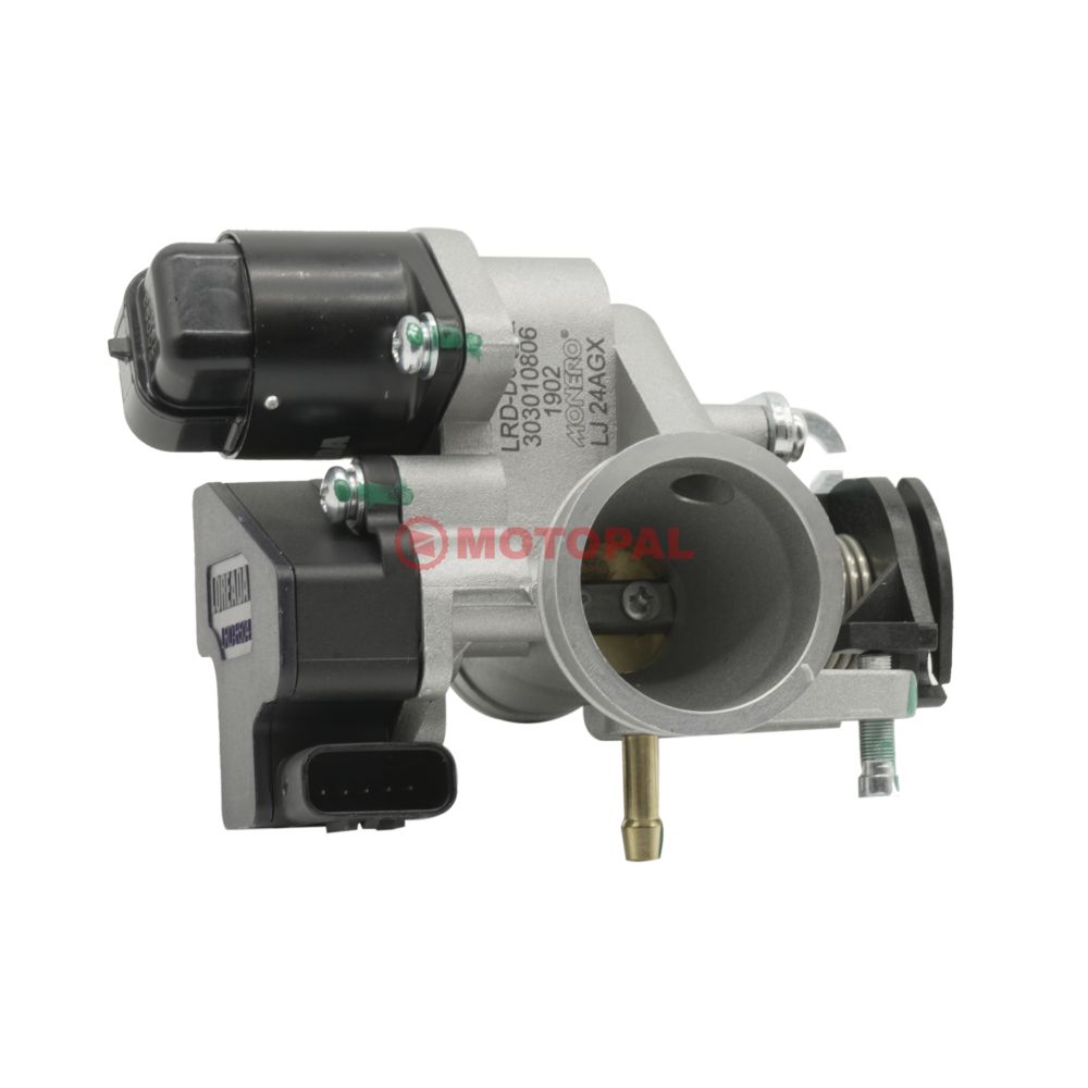 GAZ KELEBEĞİ - ARORA CAPPUCINO