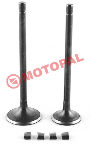 SUBAP TAKIMI [TIRNAKLI] [DQ] CG 250