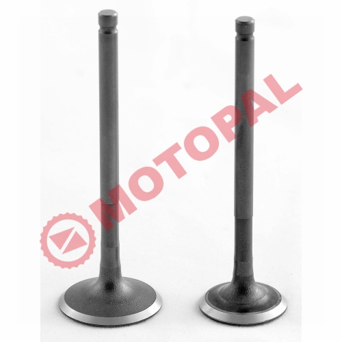 SUBAP TAKIMI [TIRNAKLI] [VTC] FIZY