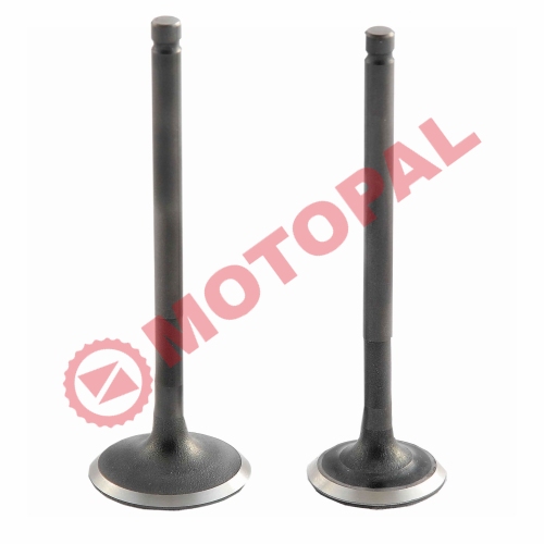 SUBAP TAKIMI [TIRNAKLI] [DQ] 125cc SCOOTER