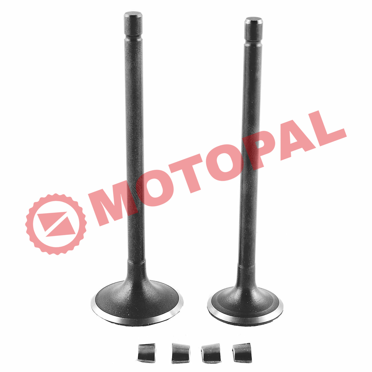 SUBAP TAKIMI [TIRNAKLI] [VTC] CG 250