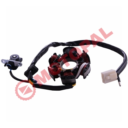 STATÖR [6'LI - 5 ÇIKIŞLI] FT-110 - SFC - CUB