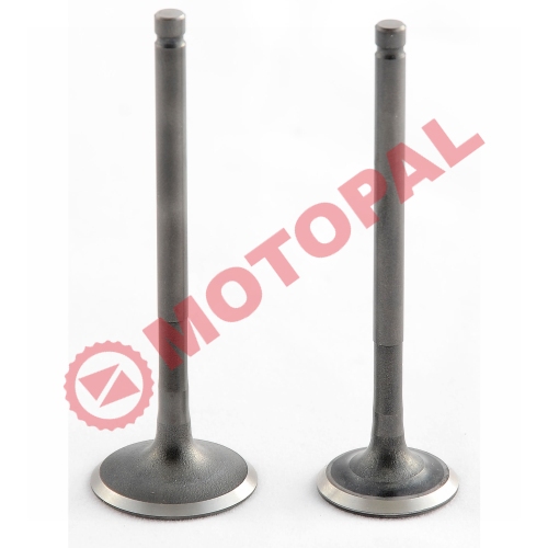 SUBAP TAKIMI [TIRNAKLI] [DQ] 80cc SCOOTER