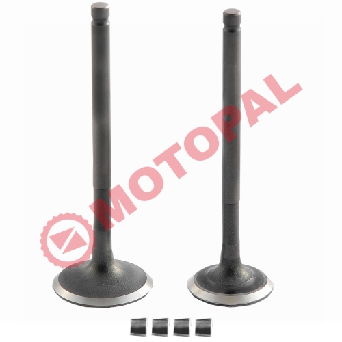 SUBAP TAKIMI [TIRNAKLI] [DQ] - ACTIVA 125 - DIO