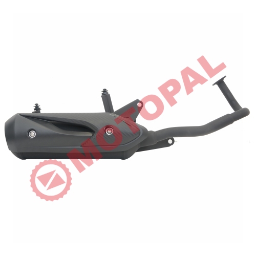 EGZOZ KUBA TRENDY 50cc