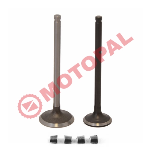 SUBAP TAKIMI [TIRNAKLI] [VTC] - ACTIVA 125 - DIO