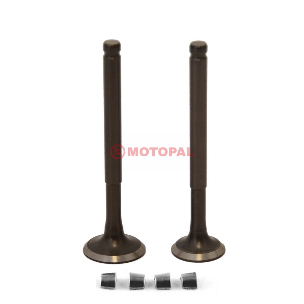 SUBAP TAKIMI [VTC] BLAZER XR -  BLUEBIRD -  SPACE - 50cc