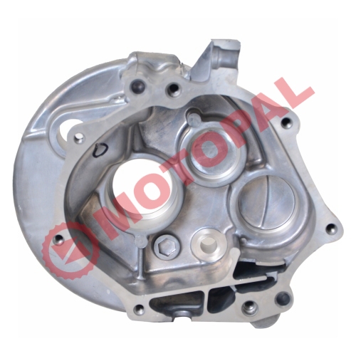 ŞANZIMAN KAPAĞI  SPACY