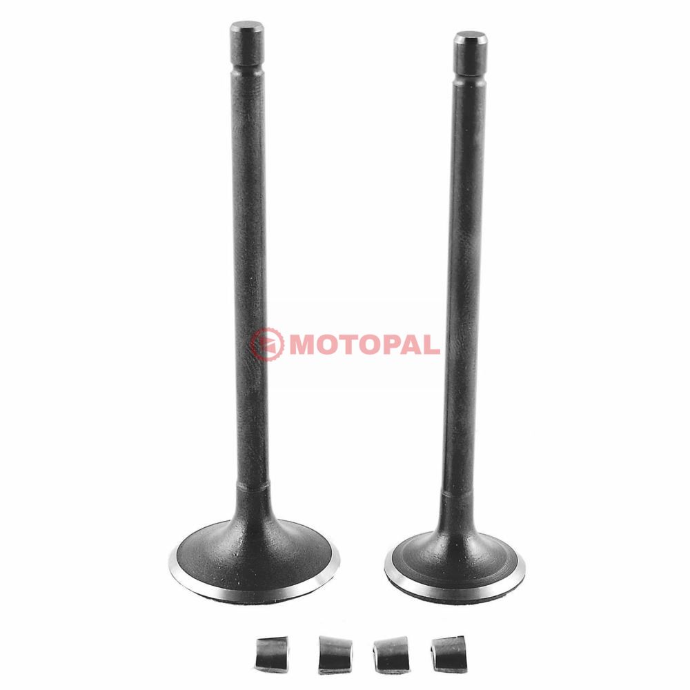 SUBAP TAKIMI [TIRNAKLI] [DQ] CG 100