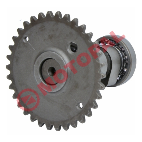 EKSANTRİK MİLİ - SCOOTER 50cc